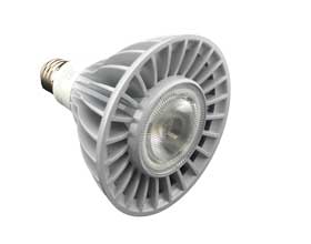 24 watt Par 38 LED bulb